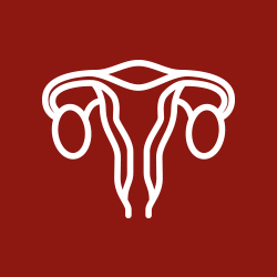 square_frauenarzt